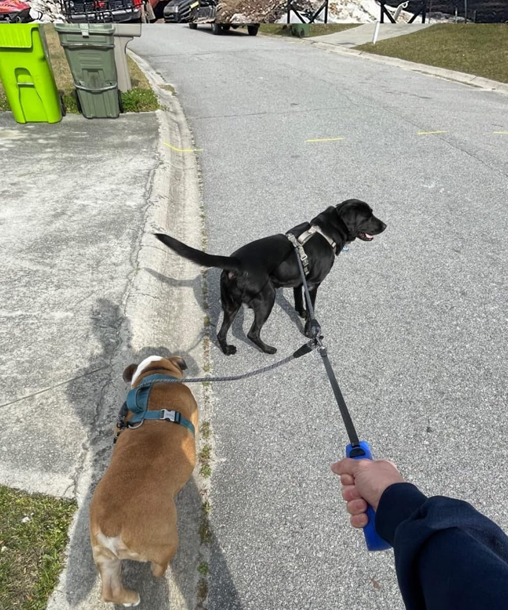 Double Dog Leash Coupler, Tandem Leash for Two Dogs, No Tangle 360° Swivel Dual