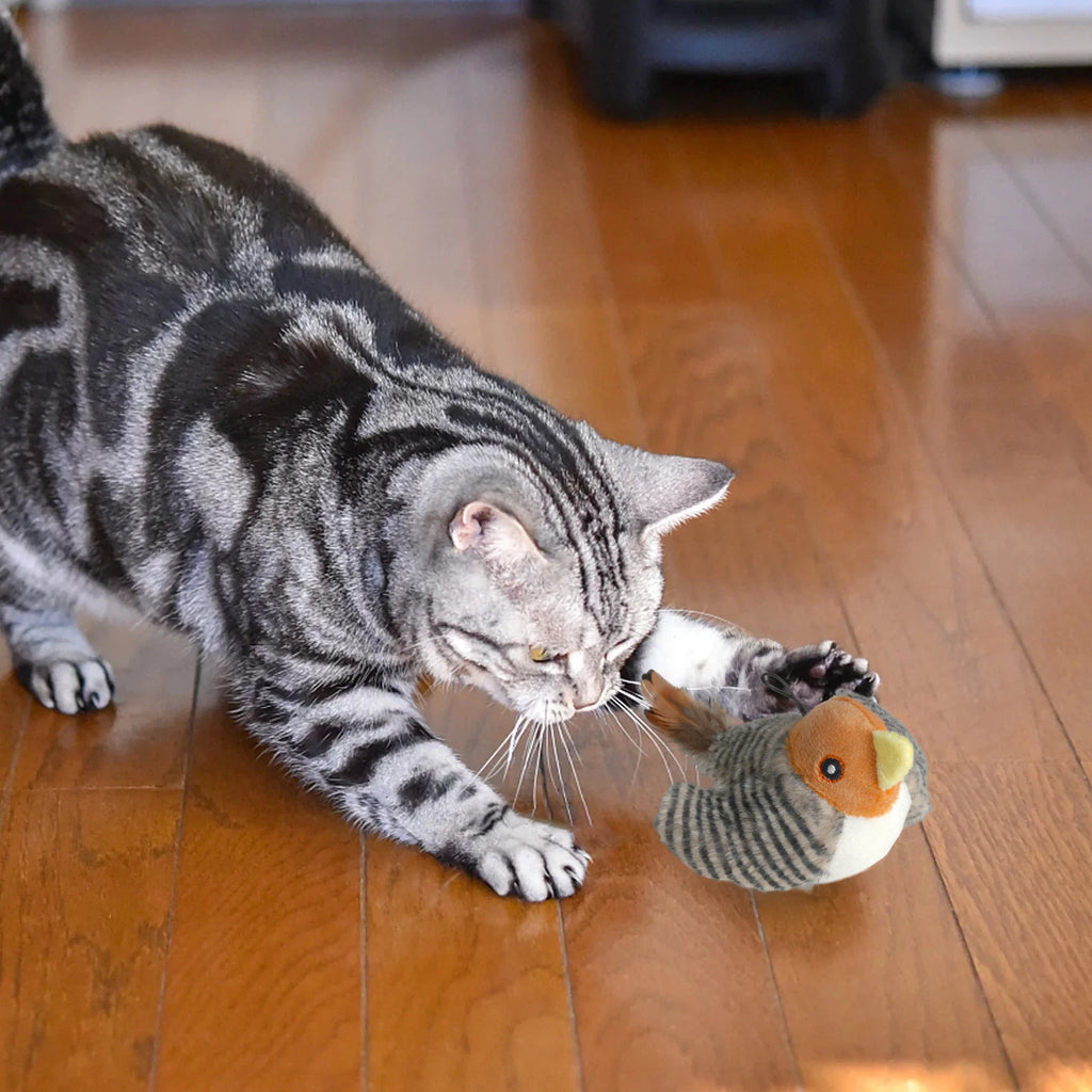 Interactive Electronic Cat Toy, Automatic Chirping Bird Toy Squeaky with Feather Tail, Melody Chaser Toy for Cats to Play Alone, Play and Squeak Kitten Toy for Boredom