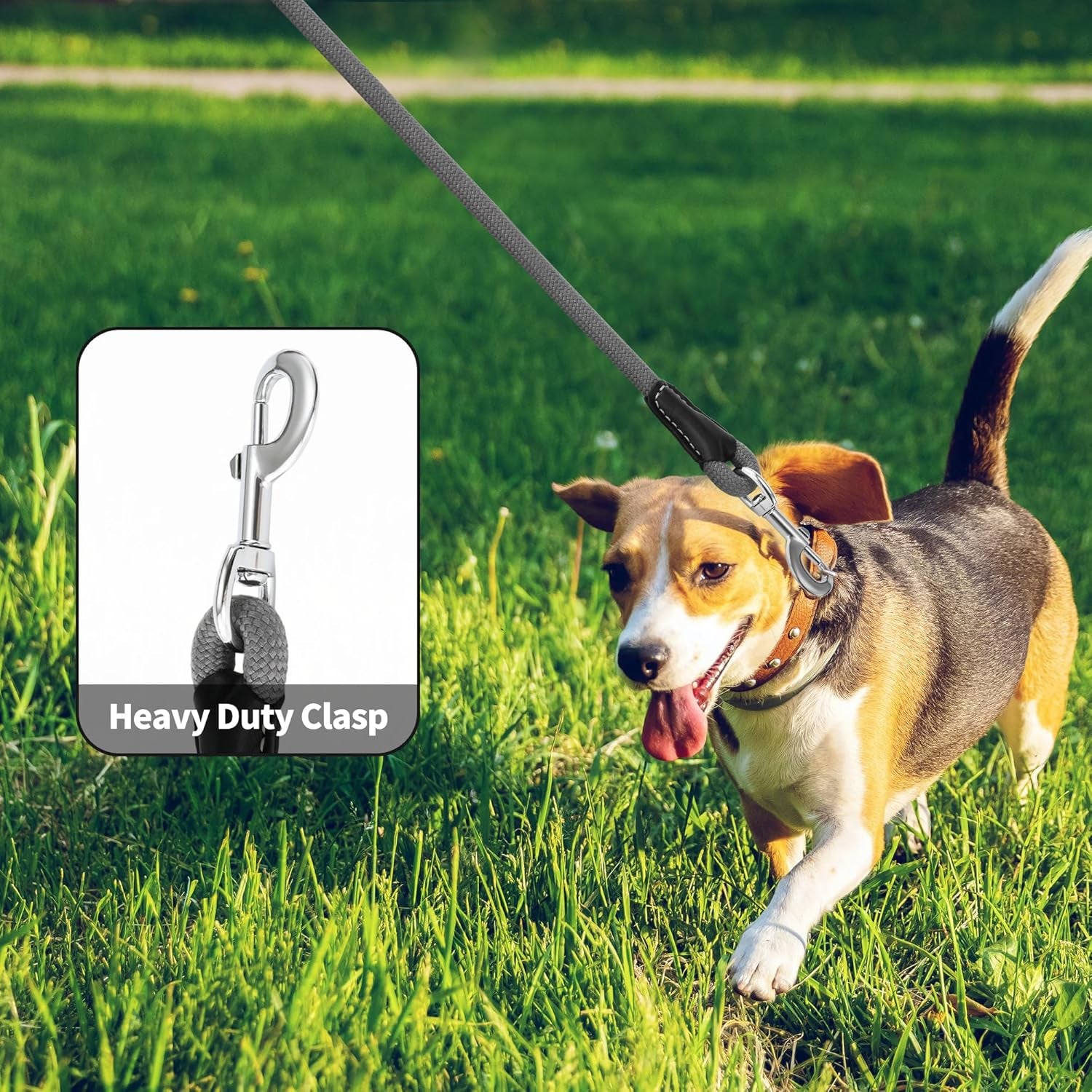 Dog Leash, Rope Leash with Genuine Leather Handle and Heavy Duty Metal Clasp, Great for Small Medium Large Dogs (Gray, 5FT)