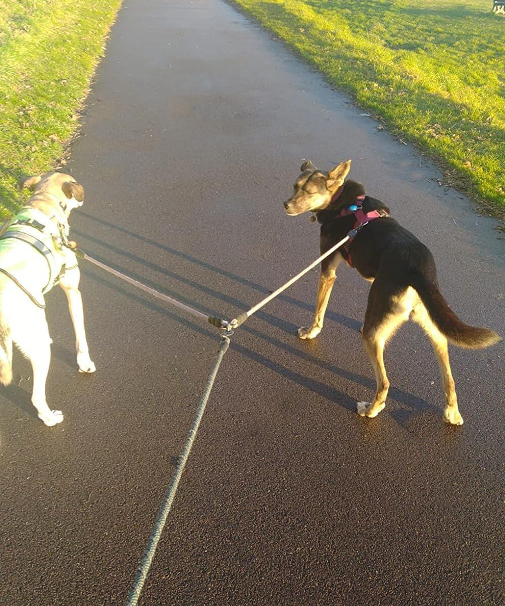 Double Dog Leash Coupler, Tandem Leash for Two Dogs, No Tangle 360° Swivel Dual