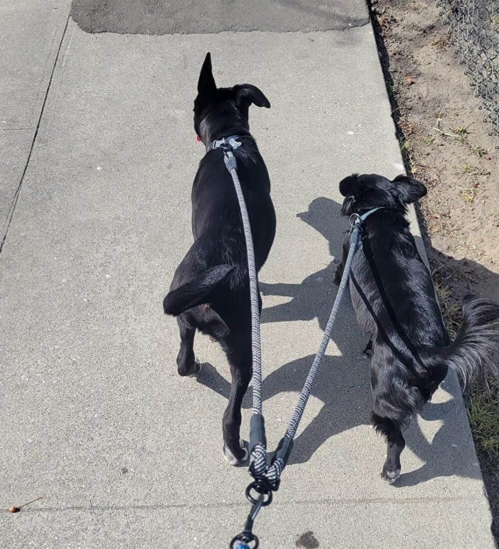 Double Dog Leash Coupler, Tandem Leash for Two Dogs, No Tangle 360° Swivel Dual