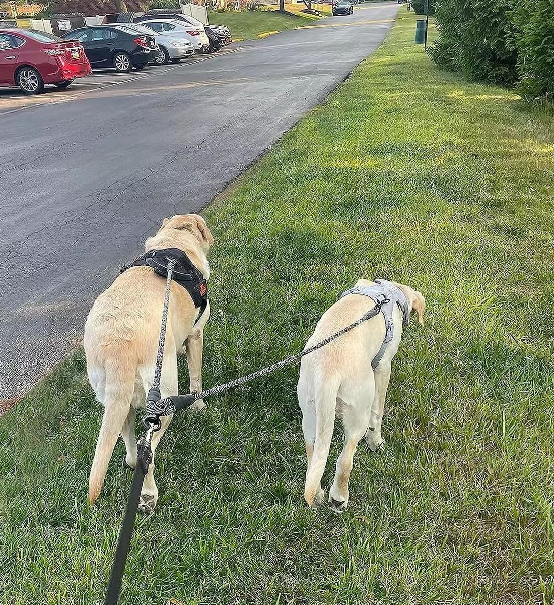 Double Dog Leash Coupler, Tandem Leash for Two Dogs, No Tangle 360° Swivel Dual
