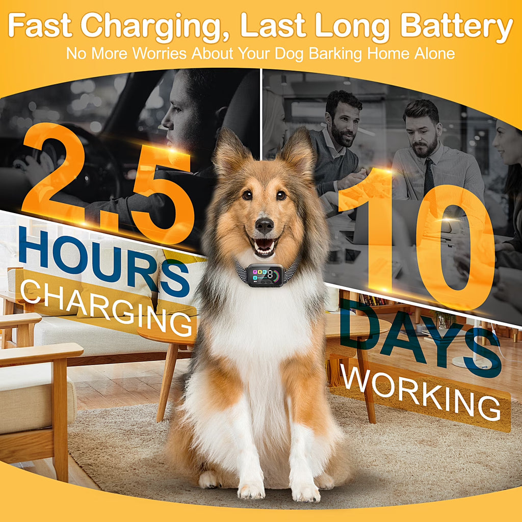 Bark Collar, 2 Pack Dog Bark Collar for Large Medium Small Dogs,Smart Bark Collar,Rechargeable anti Barking Training Collar with 8 Adjustable Sensitivity,Bark Collar with Beep